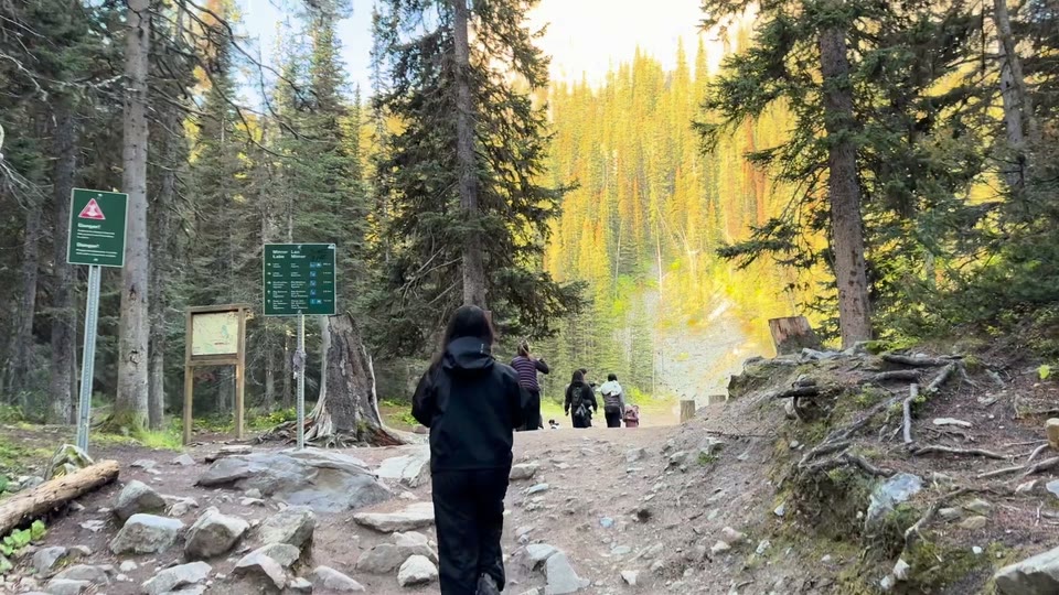 A hiker walking past trail signs toward a group of hikers in a pine forest